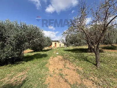 Villa in vendita a Grammichele - foto 5