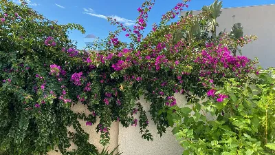 Villa in vendita a Ragusa, Marina di ragus... - foto 5