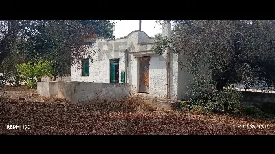 Villa a Carovigno