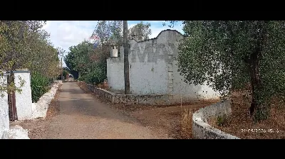 Villa in vendita a Carovigno - foto 2
