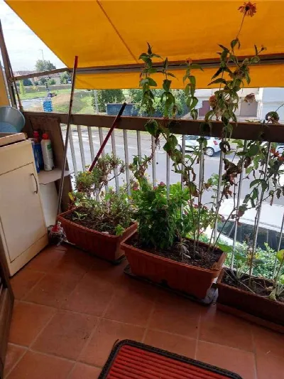 Appartamento in vendita a Poggio a Caiano - foto 3