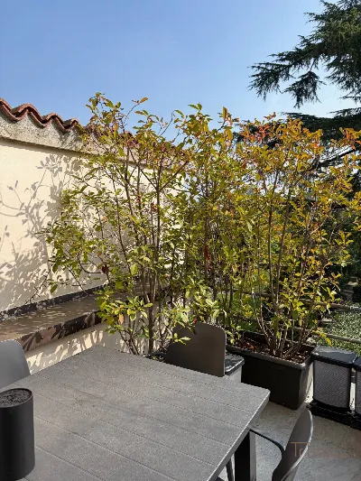 Appartamento in vendita a Bergamo, Corrido... - foto 2