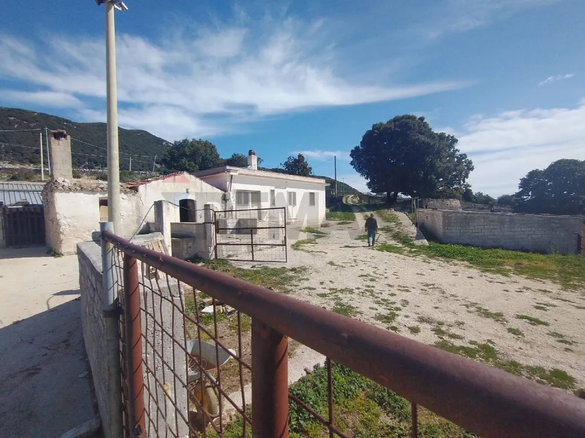 Rustico/Casale in vendita a Mattinata - foto 4