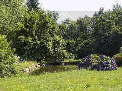 Rustico/Casale in vendita a Arona - foto 5