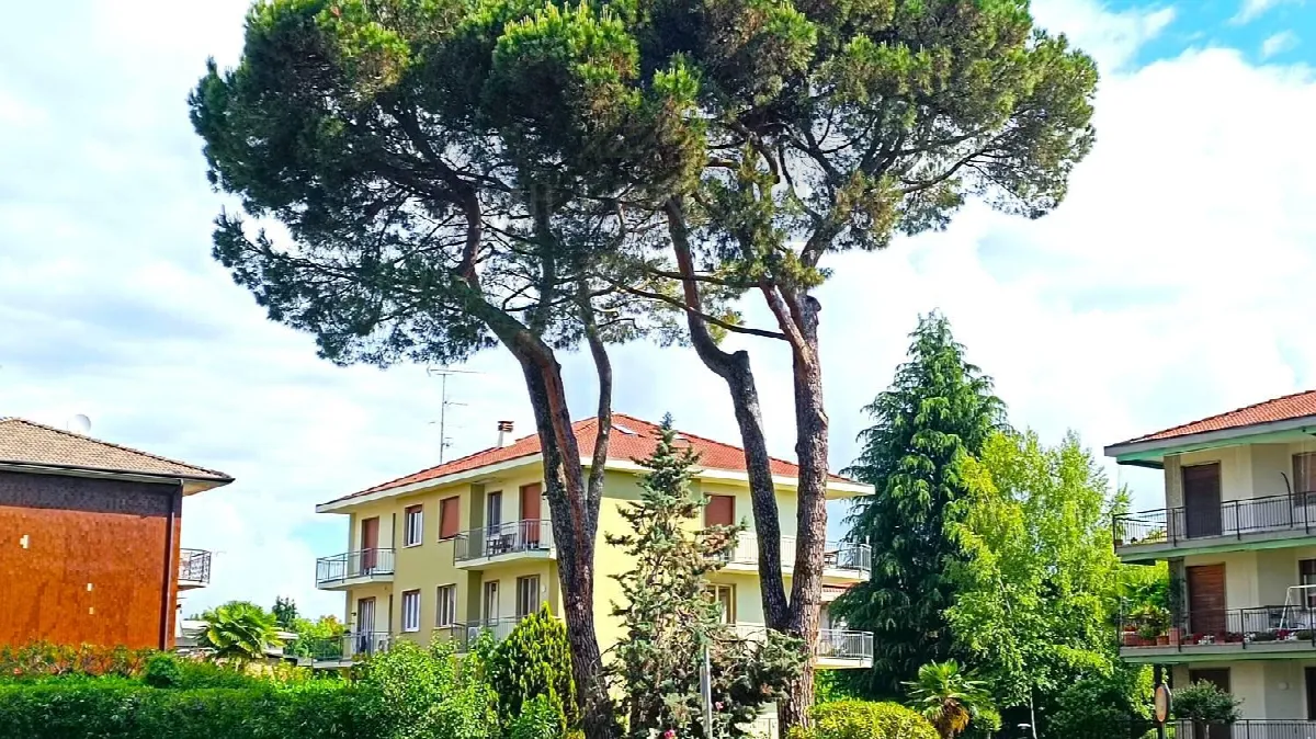 Appartamento in vendita ad Arona - foto 2
