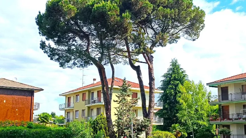 Appartamento in vendita a Arona - foto 2
