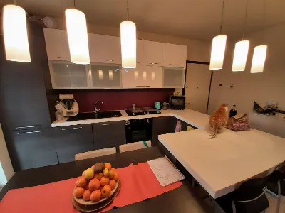 Appartamento in vendita a San Felice del B... - foto 7