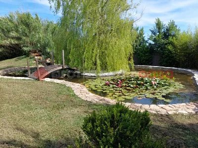 Villetta a schiera in vendita a Cascina - foto 5