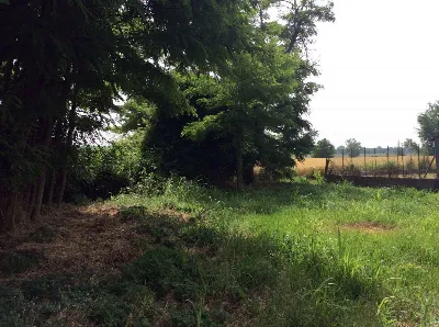 Rustico/Casale in vendita a Papozze - foto 10