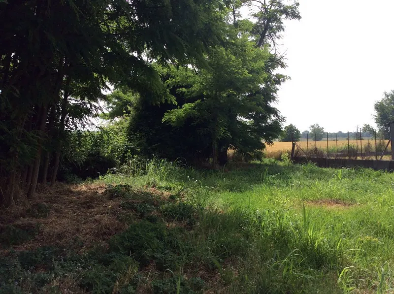 Rustico/Casale in vendita a Papozze - foto 10