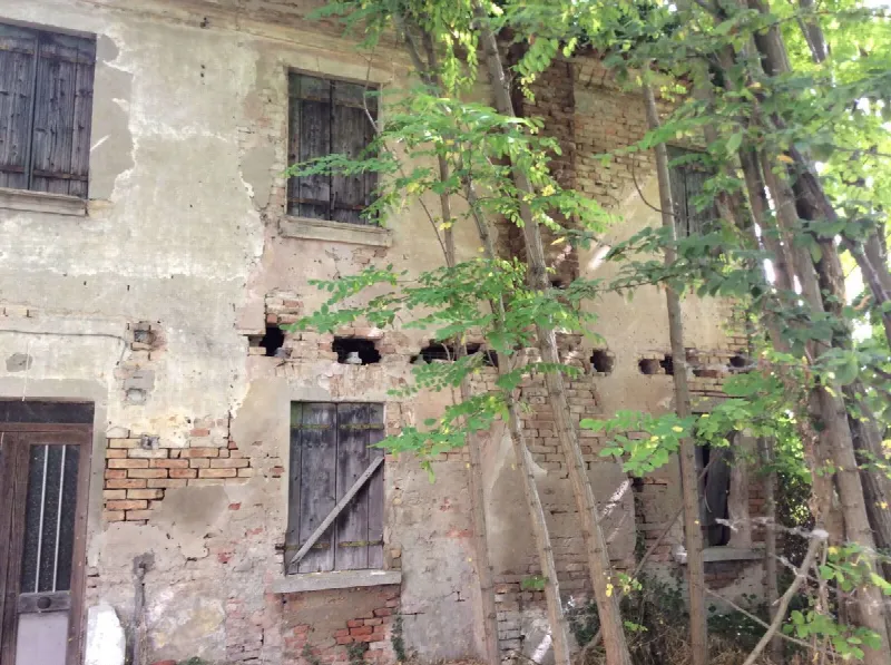 Rustico/Casale in vendita a Papozze - foto 3