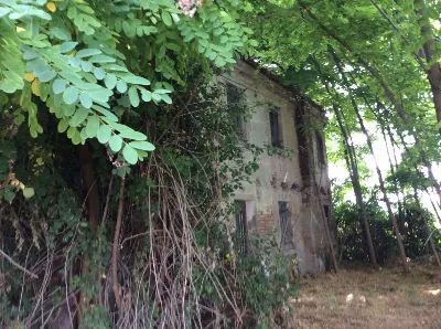 Rustico/Casale in vendita a Papozze - foto 6