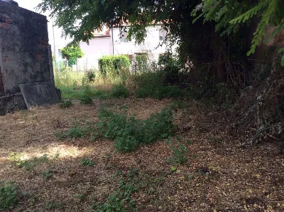 Rustico/Casale in vendita a Papozze - foto 7