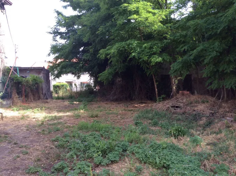 Rustico/Casale in vendita a Papozze - foto 8
