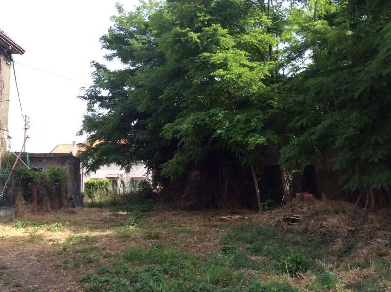 Rustico/Casale in vendita a Papozze - foto 9