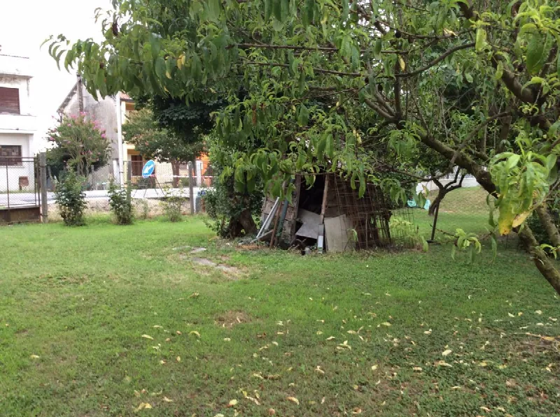 Rustico/Casale in vendita a Gavello - foto 6