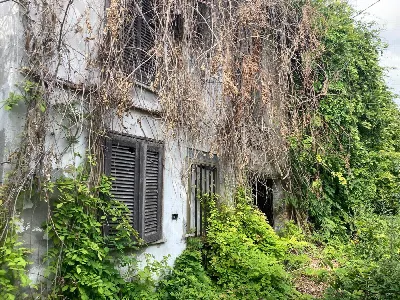 Rustico/Casale in vendita a Adria - foto 8