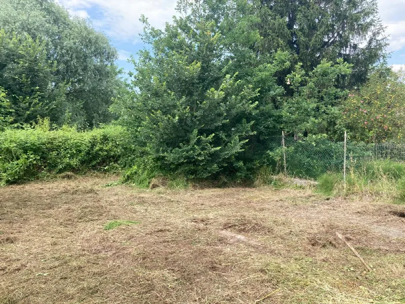 Casa Indipendente in vendita a Corbola - foto 10
