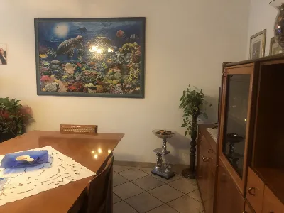 Casa Indipendente in vendita a Adria - foto 3