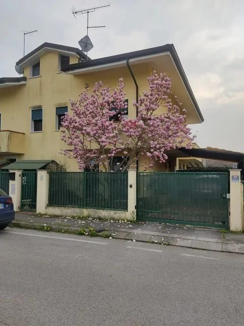 Villetta a schiera in vendita a Papozze - foto 1