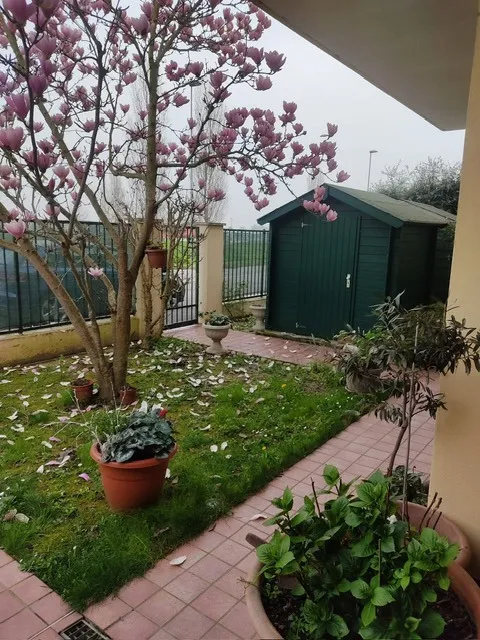 Villetta a schiera in vendita a Papozze - foto 3