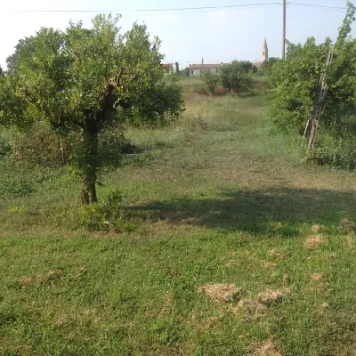 Casa Indipendente in vendita a Gavello - foto 6