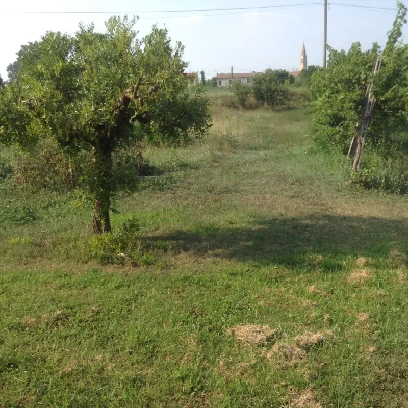 Casa Indipendente in vendita a Gavello - foto 6