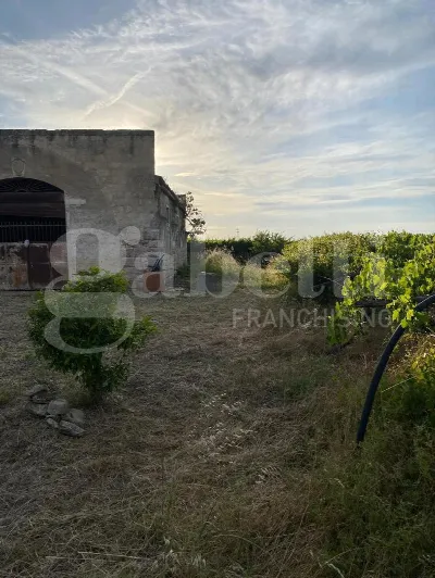 Rustico/Casale in vendita a Canosa di Pugl... - foto 3