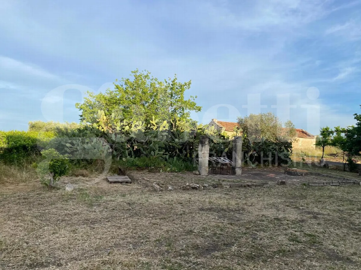 Rustico/Casale in vendita a Canosa di Puglia - foto 4