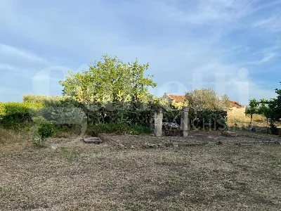 Rustico/Casale in vendita a Canosa di Pugl... - foto 4