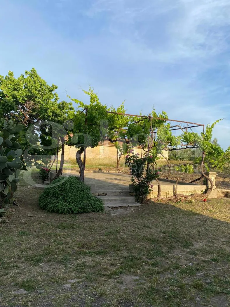Rustico/Casale in vendita a Canosa di Puglia - foto 5