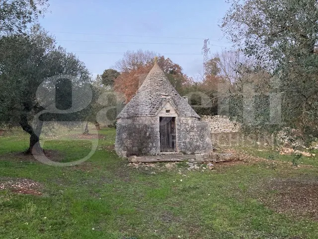 Rustico/Casale in vendita a Cisternino - foto 1