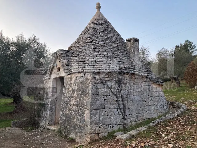 Rustico/Casale in vendita a Cisternino - foto 2