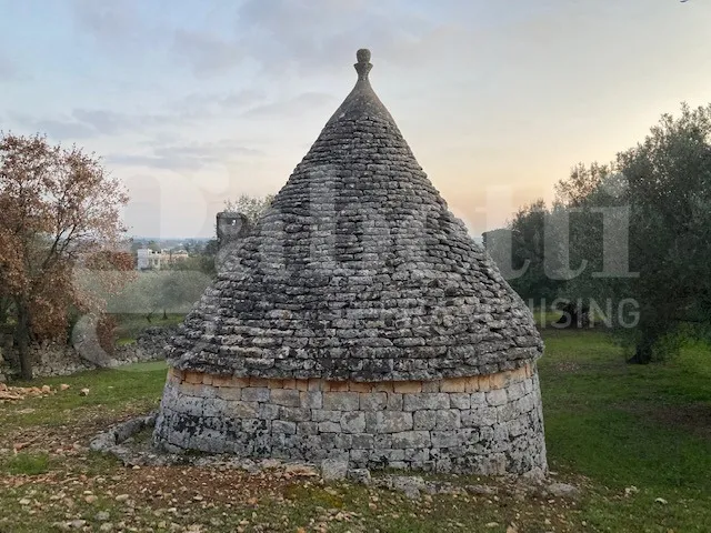 Rustico/Casale in vendita a Cisternino - foto 3