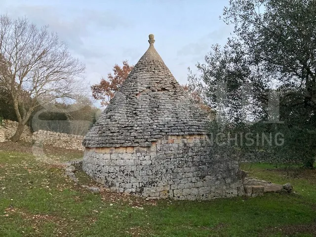 Rustico/Casale in vendita a Cisternino - foto 4