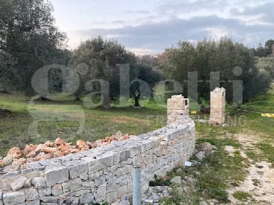 Rustico/Casale in vendita a Cisternino - foto 7