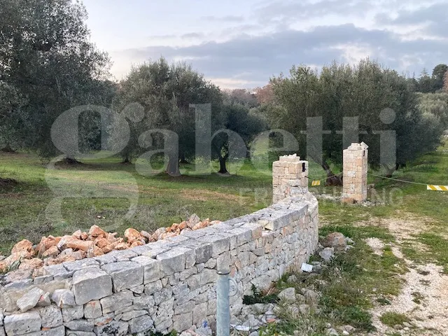 Rustico/Casale in vendita a Cisternino - foto 7