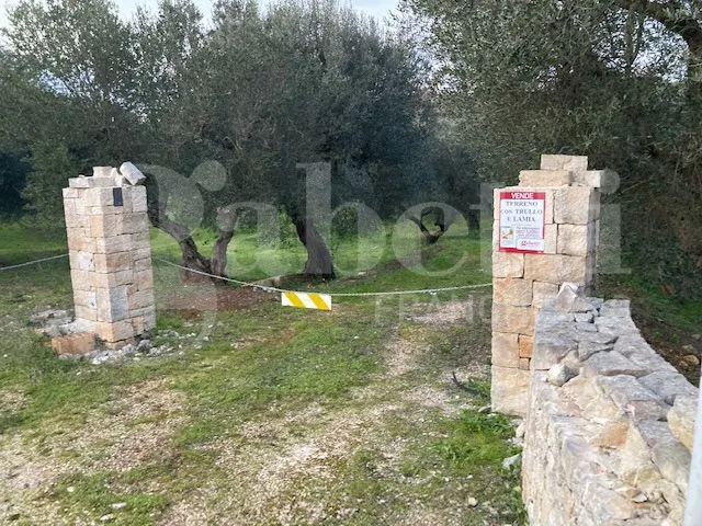 Rustico/Casale in vendita a Cisternino - foto 8