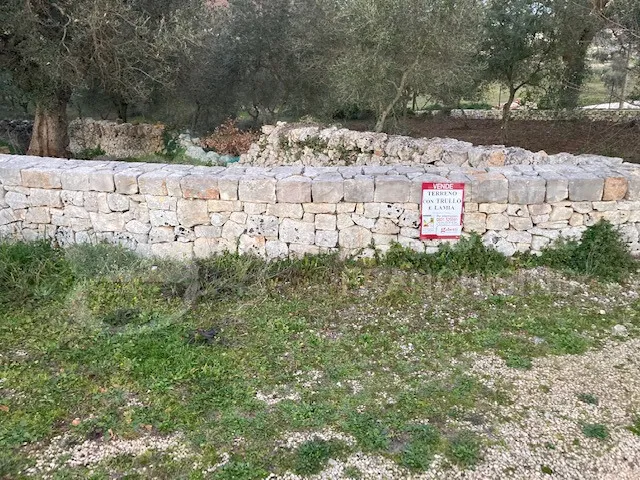 Rustico/Casale in vendita a Cisternino - foto 9