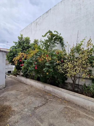 Casa Indipendente in vendita a Alessano - foto 1