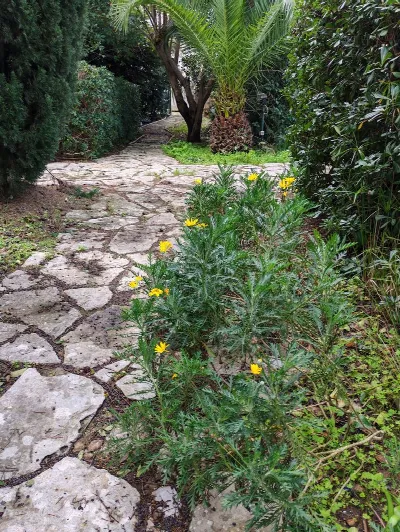Villetta a schiera in vendita a Cellino Sa... - foto 9