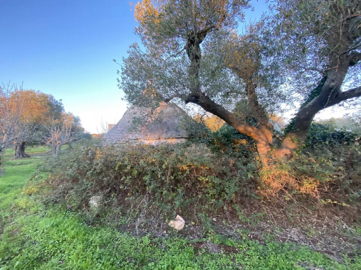 Appartamento in vendita a Ceglie Messapica - foto 4