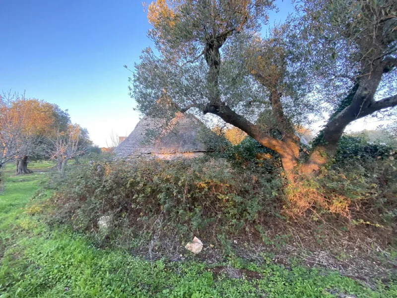 Appartamento in vendita a Ceglie Messapica - foto 4
