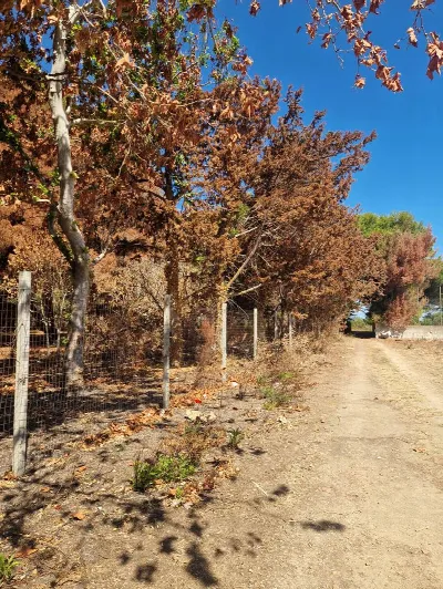 Villetta a schiera in vendita a Brindisi, ... - foto 3