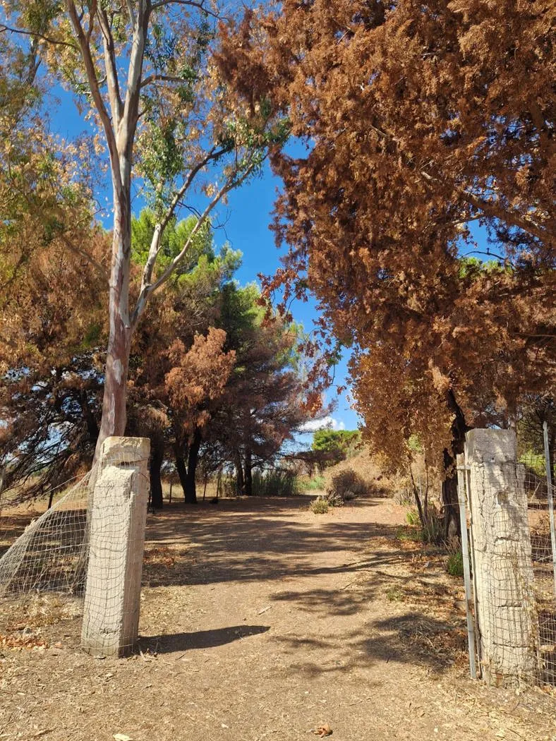 Villetta a schiera in vendita a Brindisi, Paradiso, Minnuta, Casale, Materdomini, Betlemme - foto 4