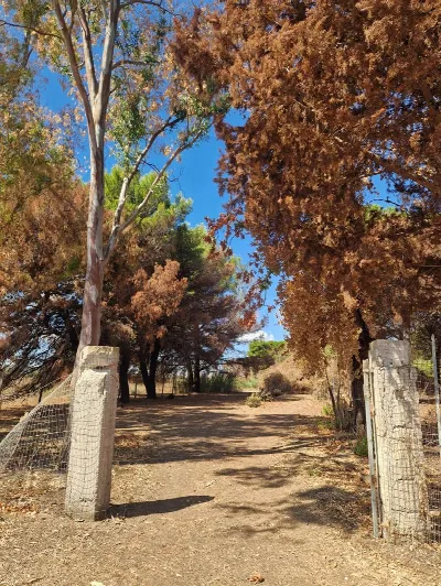 Villetta a schiera in vendita a Brindisi, ... - foto 4