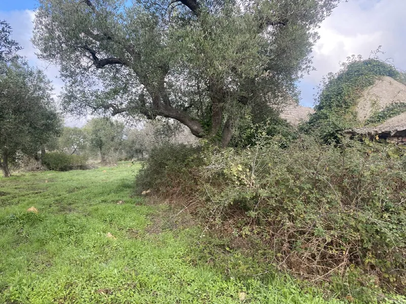 Appartamento in vendita a Ceglie Messapica - foto 5
