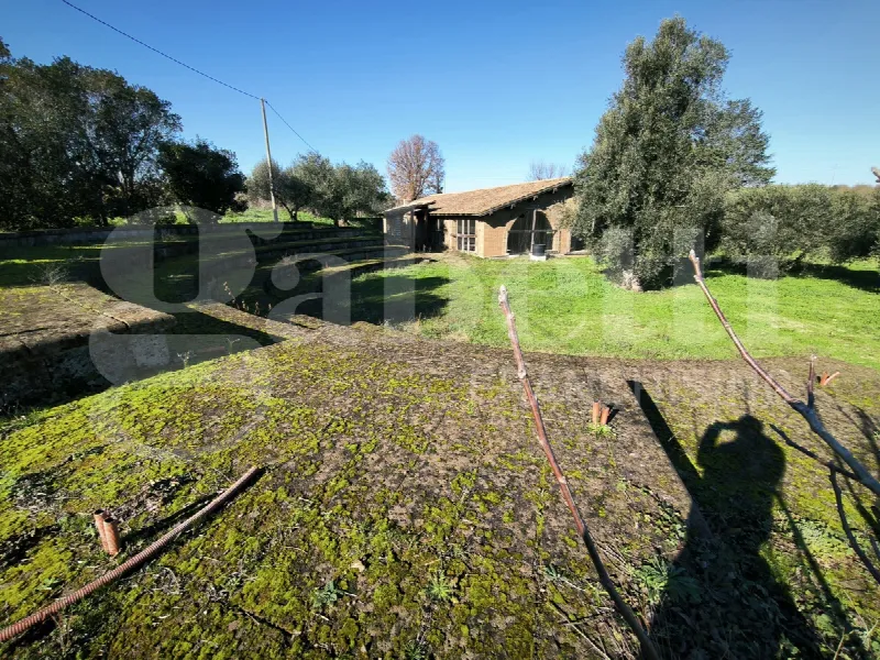 Villa in vendita a Gallese - foto 2