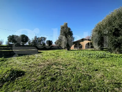 Villa in vendita a Gallese - foto 6