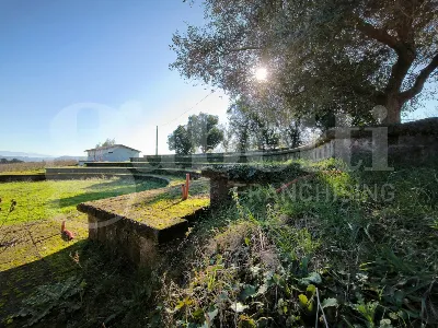 Villa in vendita a Gallese - foto 9